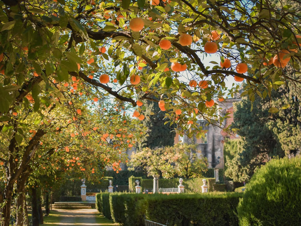 How to Design a High-End Landscape for Your Home