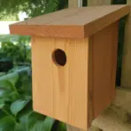 diy birdhouse