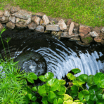 Keep Your Pond Healthy: A Guide to Air Pumps & Aeration