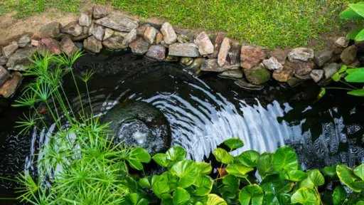 Keep Your Pond Healthy: A Guide to Air Pumps & Aeration
