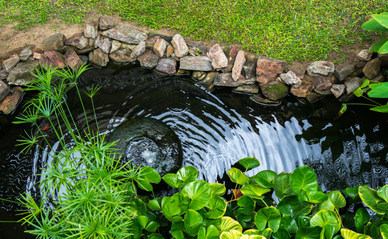 Keep Your Pond Healthy: A Guide to Air Pumps & Aeration