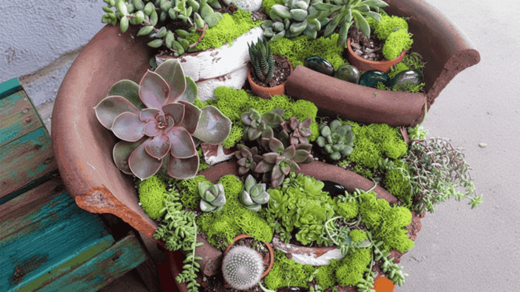 fairy garden in a broken pot design