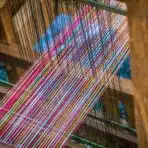 Editor’s Choice: Woven Shades 2026