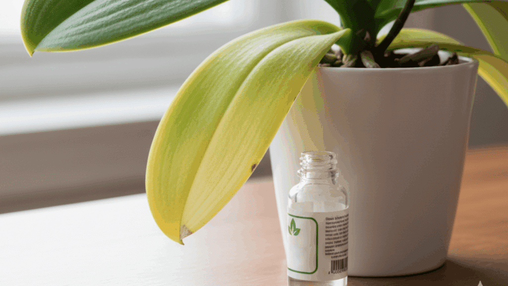 nutrition-deficiency