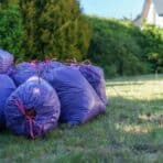 Landscaping and Property Cleanup