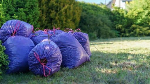 Landscaping and Property Cleanup