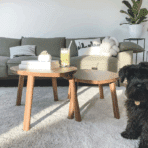 Why Personal Details Add Lasting Character To Evolving Home Decor Styles