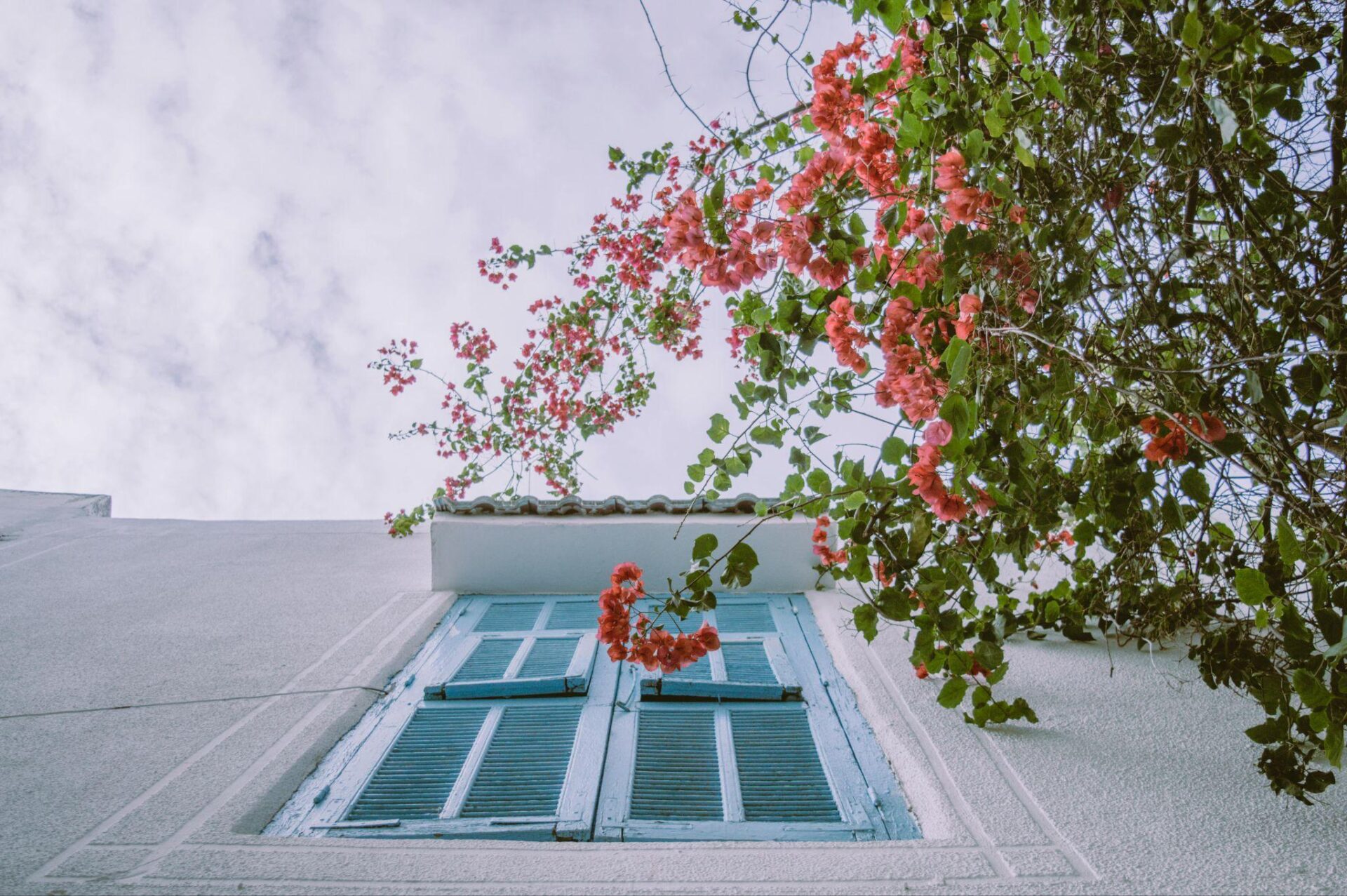 Reasons Exterior Repairs Are Essential For Both Safety And Appearance