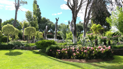 Essentials You Need to Start Working in Your Garden