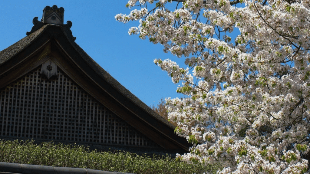 Seasonal Home Maintenance Tips