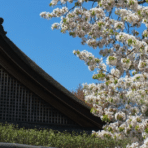 Seasonal Home Maintenance Tips