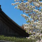 Seasonal Home Maintenance Tips