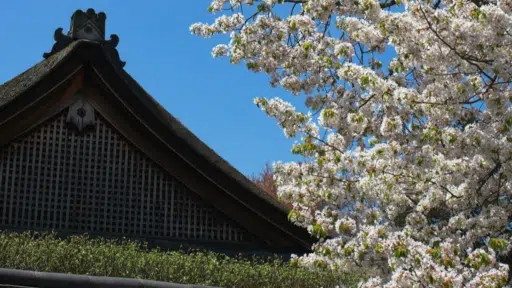 Seasonal Home Maintenance Tips