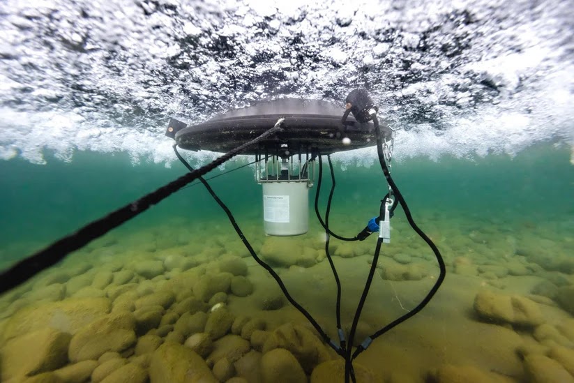 Learn how to choose the best pond aerator for your pond size and budget, compare solar and electric systems, and improve water clarity and fish health.