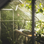 Smart Ways to Declutter Your Garden This Season