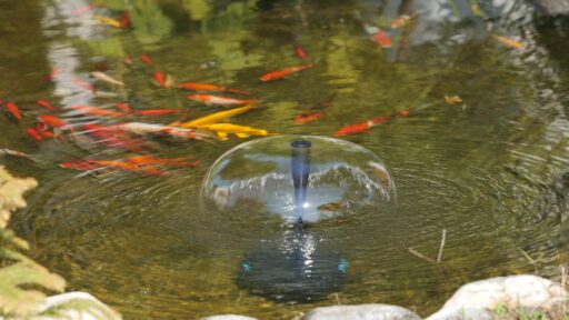 How Can Solar Fountains Improve Your Backyard?