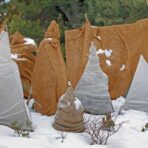 Winter Lawn & Plant Protection Tips for Homeowners