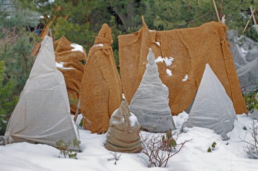 Winter Lawn & Plant Protection Tips for Homeowners
