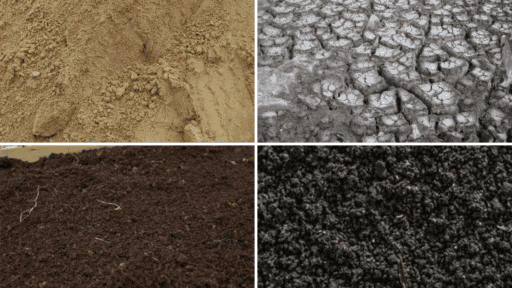 different types of soil