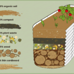 diy raised garden bed layers