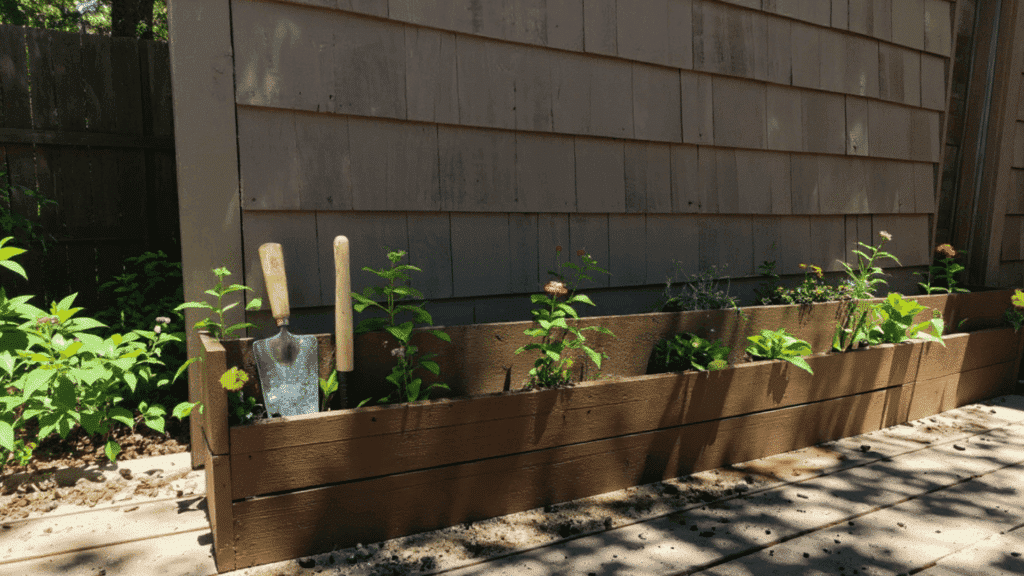 narrow raised flower beds