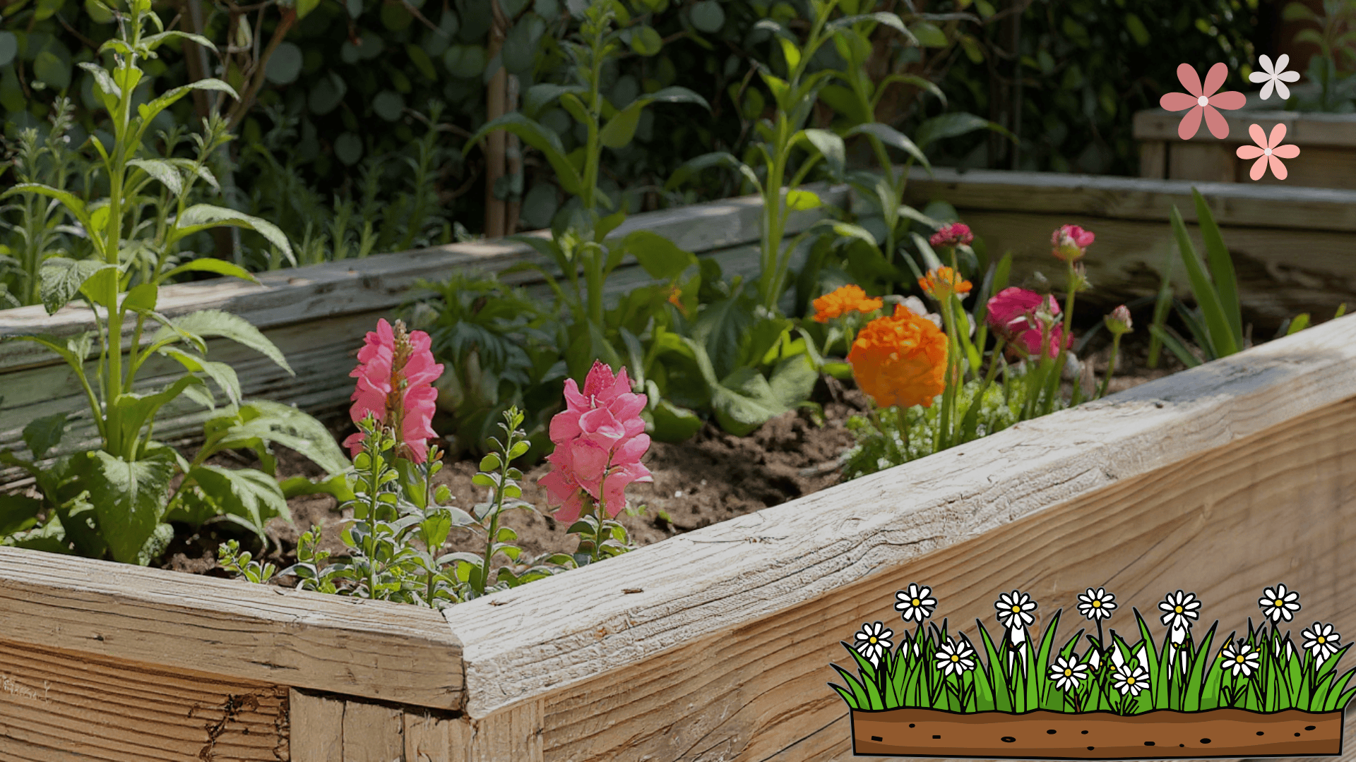 raised flower bed ideas