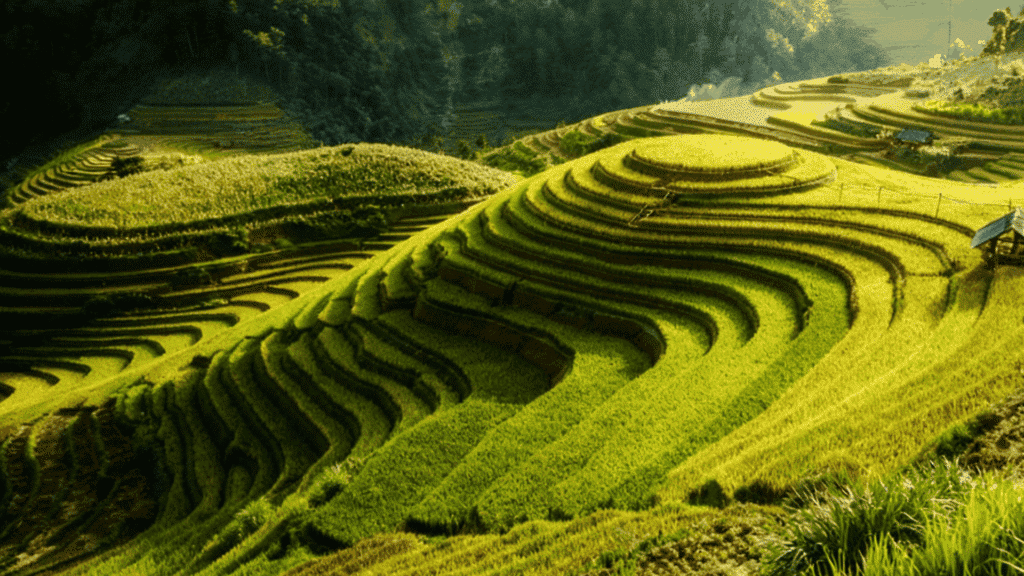 terracing soil conservation methods