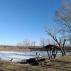 My Ice Eater Stopped Working: A Winter Pond Emergency Guide