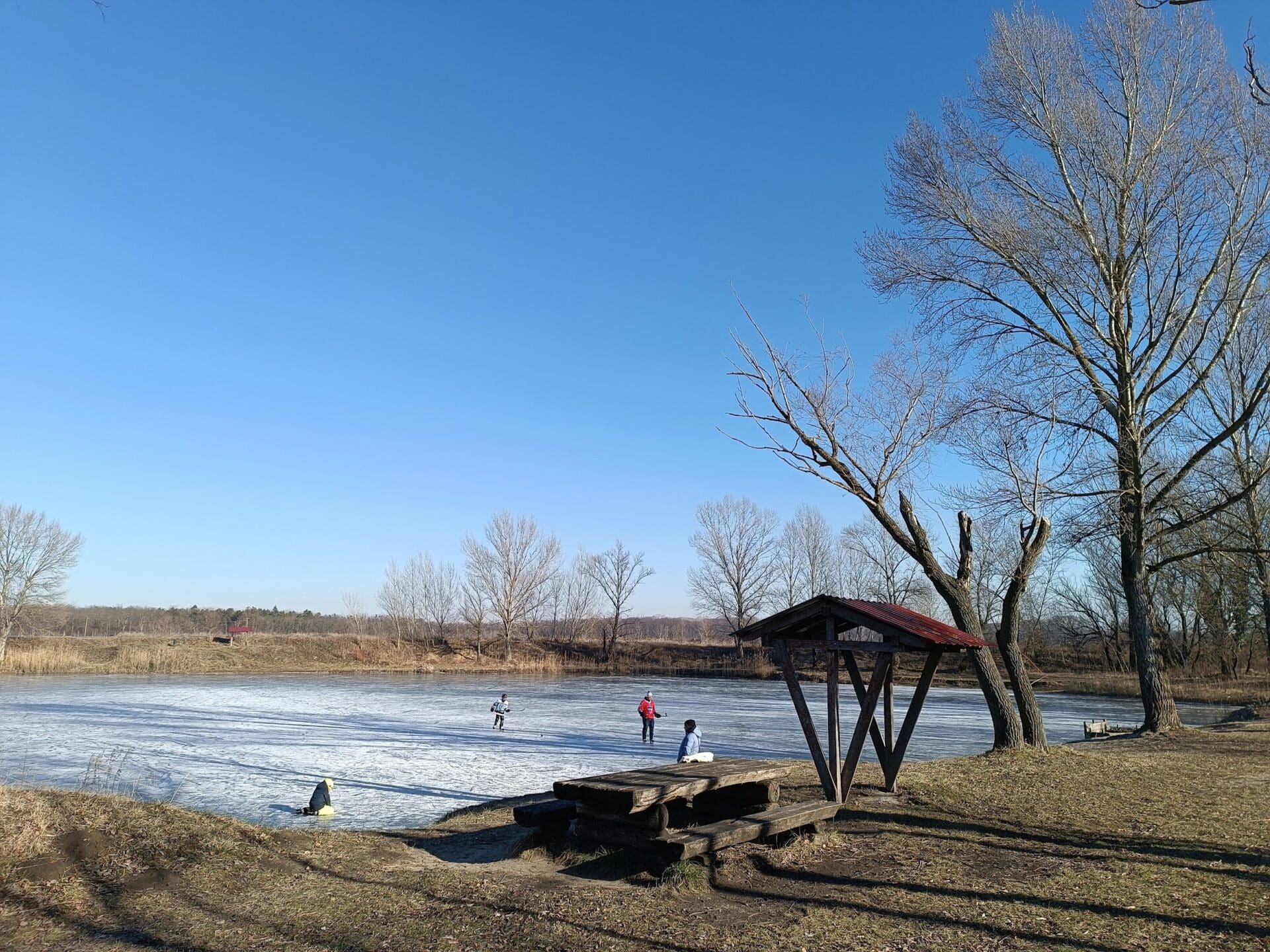 My Ice Eater Stopped Working: A Winter Pond Emergency Guide