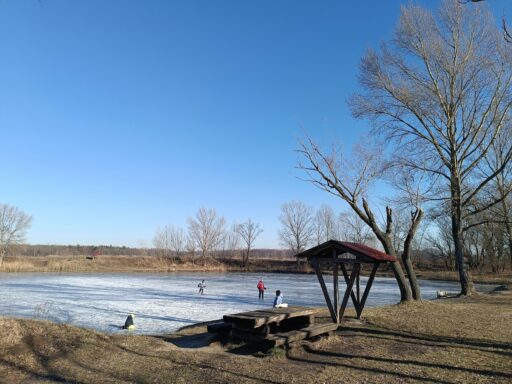 My Ice Eater Stopped Working: A Winter Pond Emergency Guide