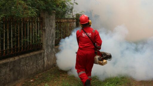 Why Early Detection Matters When Dealing With Unwanted Infestations