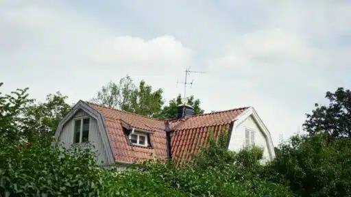 Eco-Friendly Roofing
