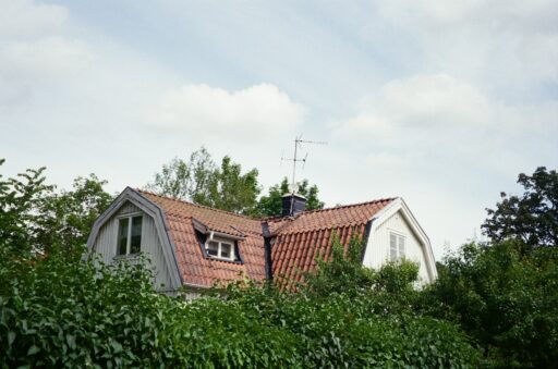 Eco-Friendly Roofing