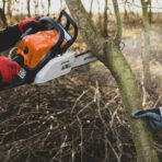 Cutting Healthy Trees
