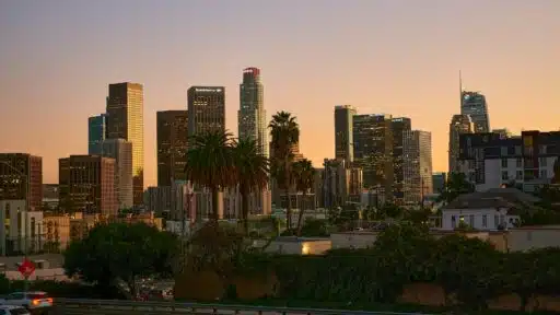 Looking for Movers in Los Angeles? Here’s What You Should Know First