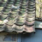 Top 5 Signs Your Roof Needs Repair