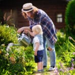 Garden Essentials for a More Comfortable and Efficient Garden