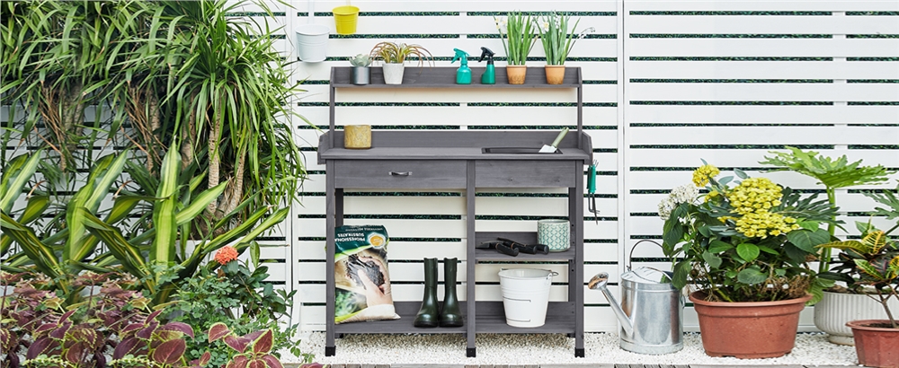 花园里的摆设布局 描述已自动生成