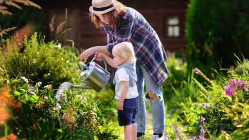 Garden Essentials for a More Comfortable and Efficient Garden