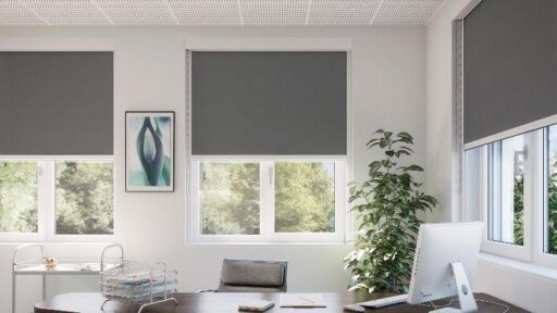 What Are the Different Types of Roller Blinds and Which One Is Best?