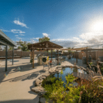 Popular Pool Features and Upgrades Worth Adding to Any Backyard